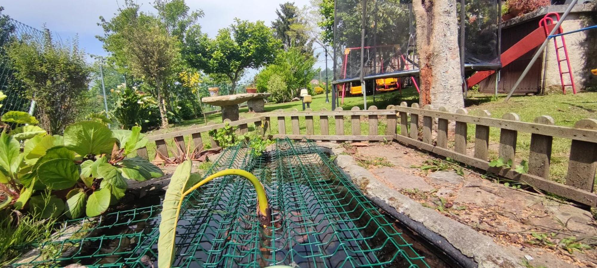 Casa Rural Os Carballos Konuk evi Pontevedra Dış mekan fotoğraf